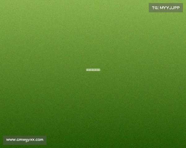 赛事组织管理培训班